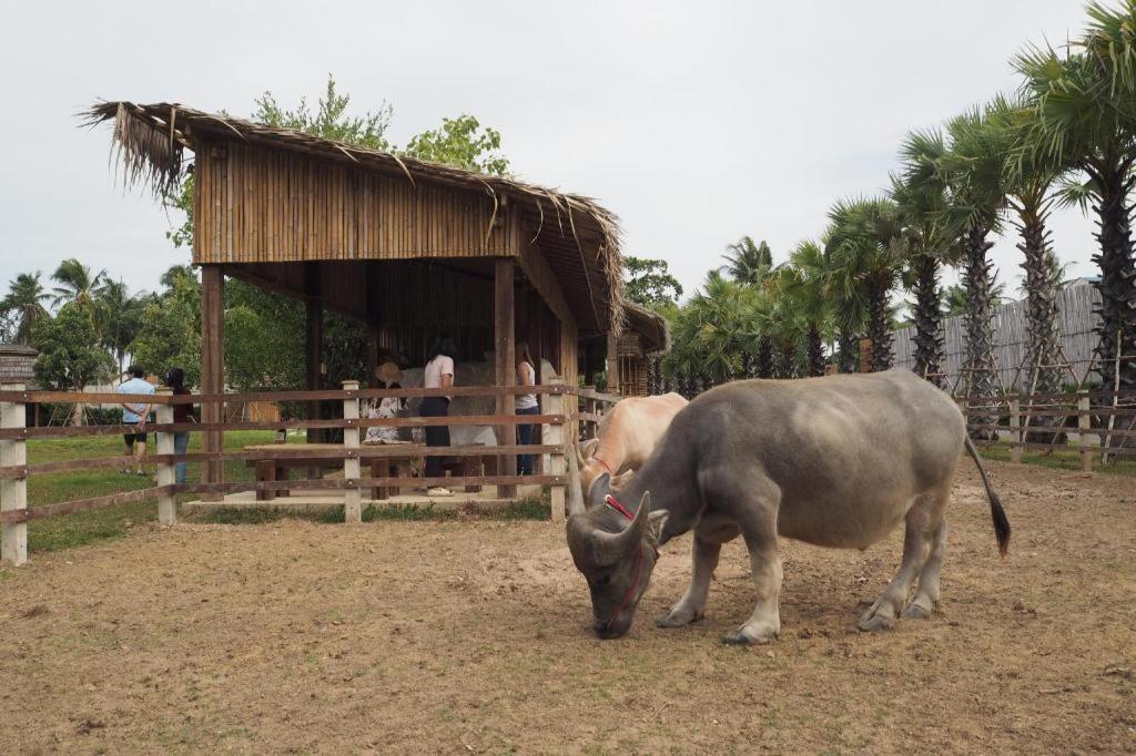 The Buffalo Amphawa Hotel Samut Songkhram Екстериор снимка